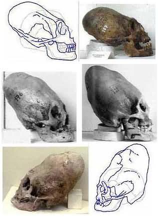 Черепа богов - иллюстрация из работы А.Склярова